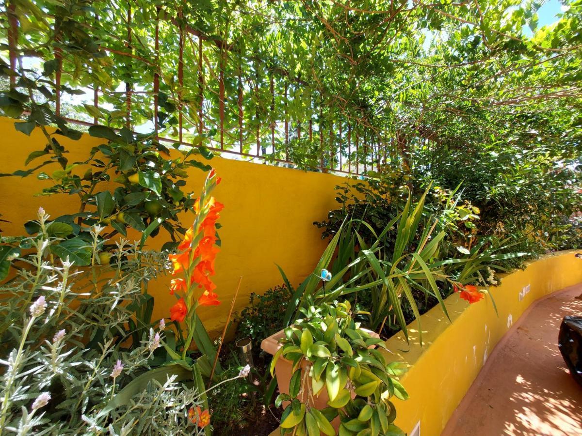 לאס פאלמס דה גראן קנאריה Casa Maestro Lelo - Acogedora Casa Rural Canaria Con Patios Y Jardines De Flores מראה חיצוני תמונה